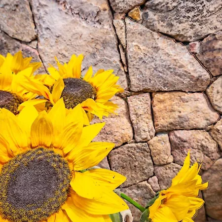 Sardinia Family - Elena With Salt Water Private Pool Arzachena